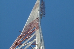DCP_1987